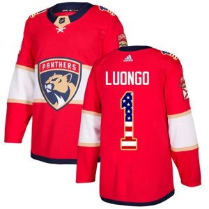 Herren Florida Panthers Eishockey Trikot Roberto Luongo 1 Rot USA Flag Fashion Authentic